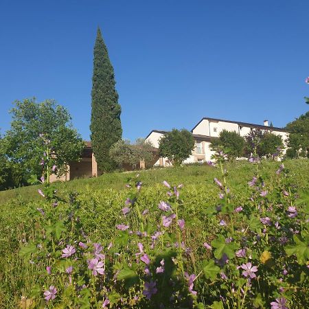 Agriturismo Relais Maddalene101 Βίλα Βιτσέντζα Εξωτερικό φωτογραφία