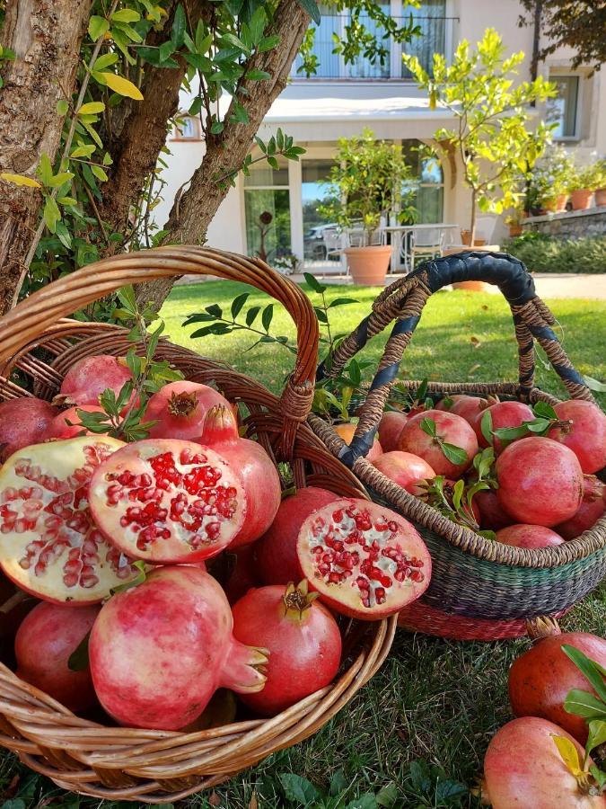 Agriturismo Relais Maddalene101 Βίλα Βιτσέντζα Εξωτερικό φωτογραφία