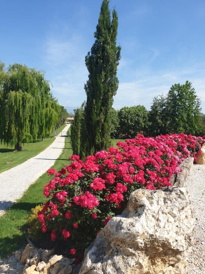 Agriturismo Relais Maddalene101 Βίλα Βιτσέντζα Εξωτερικό φωτογραφία